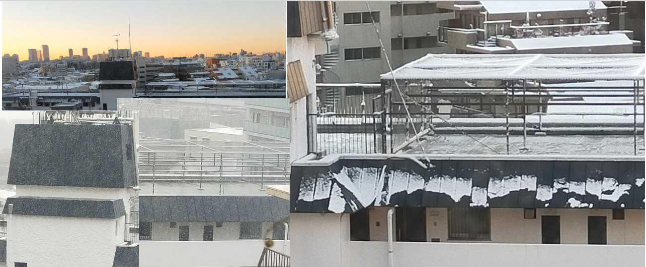 東京に初雪、屋根もアンテナにも雪